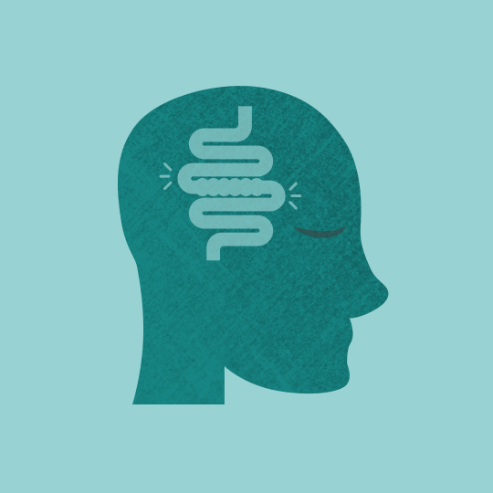 Outline of a head showing the gut and mind connection